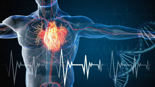¿CÓMO PREVENIR LA CARDIOTOXICIDAD?